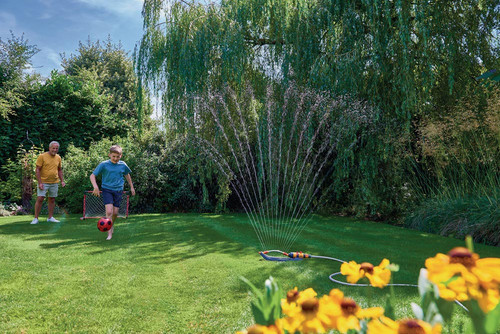 Artikelbild